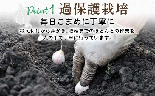 FK7-0181_【先行予約】 嘉島町産 乾燥にんにく 1kg