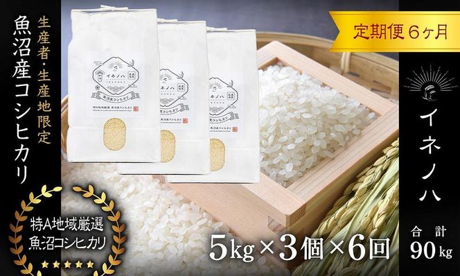 ＜定期便・全6回＞【令和7年産】魚沼産コシヒカリ「イネノハ 」精米(5kg×3)×6回 お米 白米 ご飯 産地直送 ミネラル 栄養分 こだわり 人気 新鮮 