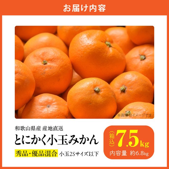 MK1052_【2026年先行予約】みかん とにかく 小玉 箱込 7.5kg ( 内容量 6.8kg ) 2Sサイズ以下 秀品 優品 混合 有田みかん 和歌山県産 産地直送 【みかんの会】