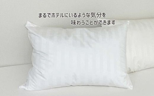 【2.6-3】ザ・ホテルピロー 枕カバー付き 50×70cmリサイクルダウン50％ 抗ウィルス加工 ダウンピロー　羽毛 【251-000507-20】