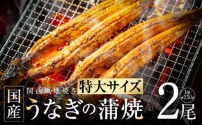 015B385 【ビッグサイズ】老舗五郎藤 国産 旨鰻 250g×2尾【関西風地焼き 特大 うなぎ ウナギ 蒲焼き 炭火 数量限定 有頭 北国からの贈り物 厳選】