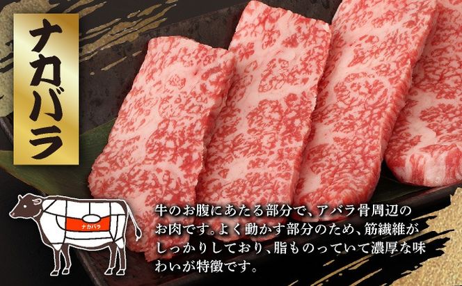 【2025年11月以降順次発送】希少な特選石垣牛をご家庭で！！カルビ（ナカバラ/ソトバラ/トモバラ）焼肉用200g×2パック&石垣牛 MARU秘伝の焼肉タレ100ml×1本