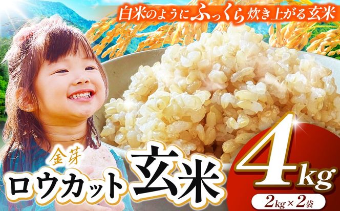 JA上伊那　ロウカット玄米　4kg（2kg×2袋）　白米のようにふっくら炊き上がる玄米【017-19】｜長野県 伊那 伊那市 信州 ロウカット玄米 玄米 ふっくら お米 米 4kg