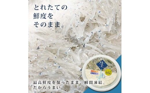 生しらす 70g×10P 特製ぽん酢 1本 シラス 小分け とれたて 国産 しらす丼 海鮮丼 ごはん ご飯 おかず 離乳食 お取り寄せ 美味しい 冷凍 配送 高知県