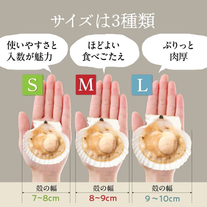 北海道 噴火湾産 ホタテ 片貝 選べる サイズ S M L 内容量 計 10枚 ～ 45枚 内浦湾 噴火湾 新鮮 一枚ずつ 急速冷凍 とても甘い 旨み バター醤油焼き 酒蒸し グラタン風焼き バーベキュー 網焼き 海の味覚 海鮮 魚介 貝 海産物 お取り寄せ 函館市 送料無料_HD117-034-sku