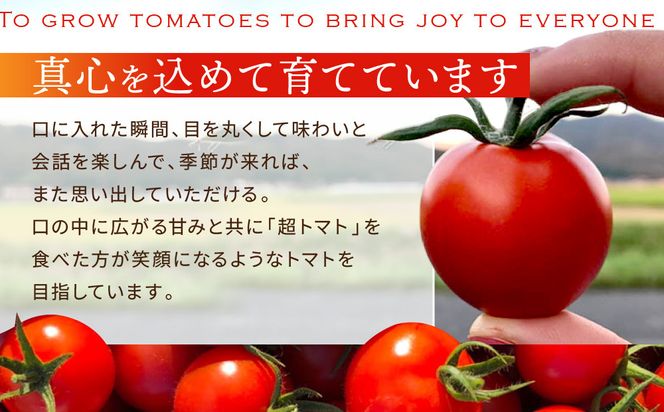 出雲の國からの贈り物～超トマト１kg＆超トマトジュース１本 322032_AT005