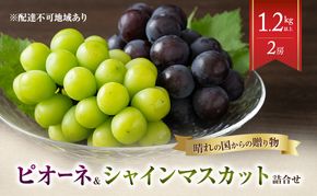 【2026年先行予約】 ぶどう 岡山県産 晴れの国からの 贈り物 ピオーネ ＆ シャインマスカット 詰合せ 1.2kg以上(2房)《2026年8月下旬-9月下旬出荷》 葡萄 ブドウ フルーツ 果物 数量限定 期間限定 里庄町