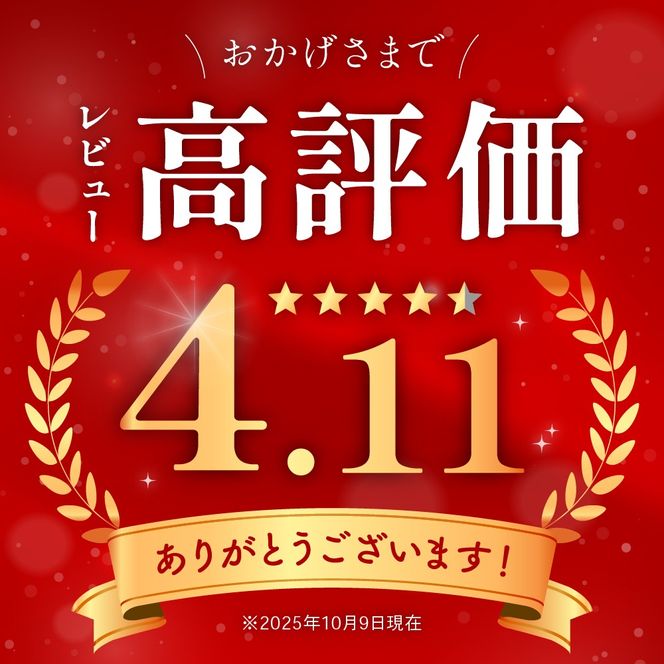  【年内配送　年内発送　北海道】すじこ 訳あり 北海道 紅鮭 塩 筋子 500g (250g×2個入）加藤水産 ひとくちカット 不揃い 小分け 塩筋子  筋子塩漬け つまみ おつまみ魚介類 魚卵 鮭 いくら 冷凍 おせち R002-005