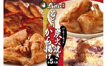 鳥せい本店の若どり炭火焼き&から揚げ パーティーセット_S004-0002