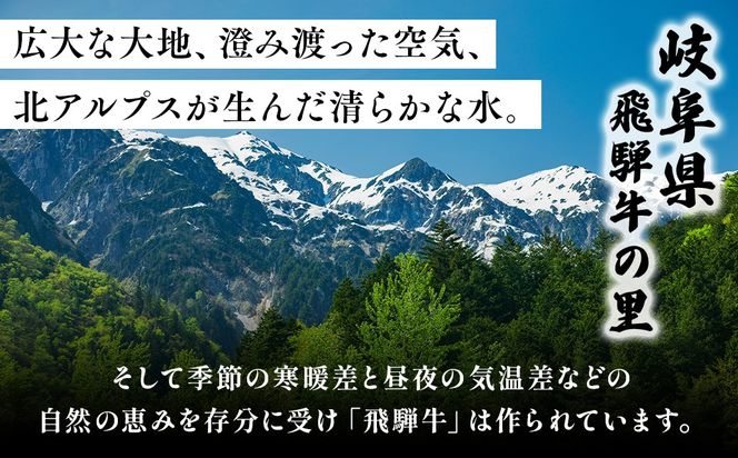 ★お試し★250g　訳あり 飛騨牛 切り落としスライス | 牛 牛肉 切り落とし カレー ※離島への配送不可