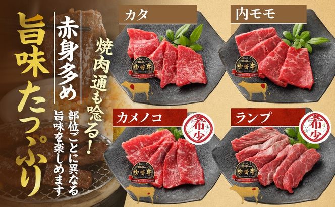宮崎牛食べ比べ10種盛り焼肉セット≪みやこんじょ快速便≫_17-31-003-600g-R