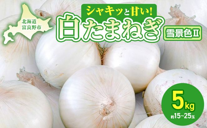 【2027年夏発送】富良野産 白玉ねぎ 雪景色II 約5kg （約15～25玉）新玉ねぎ 野菜 甘い 新鮮 直送 玉ねぎ 玉葱 サラダ 北海道 富良野 幕田農園