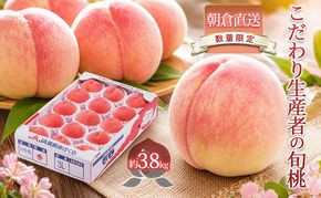 限定 数量 桃 もも モモ 3.8kg 2027年 発送 フルーツ 果物 くだもの デザート 筑前あさくら農協 オンライン決済限定 配送不可 離島