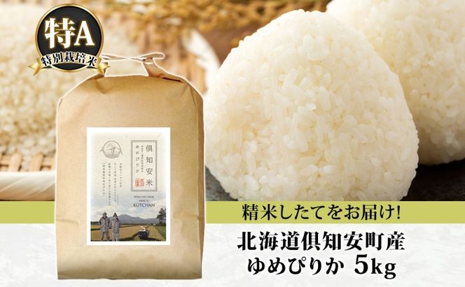 【2026年3月出荷】北海道 倶知安町産 ゆめぴりか 特別栽培米 精米 5kg 米 特A 白米 お米 道産米 ブランド米 契約農家 ごはん 炊き立て ご飯 もちもち  国産 人気 お取り寄せ ギフト 贈り物 備蓄 保存 おまとめ買い ショクレン