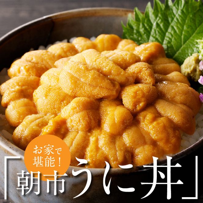 函館朝市 弥生水産 函館産 塩水ウニ 100g 1パック 冷蔵 塩水 うに 新鮮 割りたて とろける 舌触り 甘味 旨味 何もつけずに そのまま 漁師 ウニ漁 期間限定 数量限定 魚介 ウニ丼 酒の肴 おつまみ 北海道 函館 送料無料 お取り寄せグルメ_HD032-045