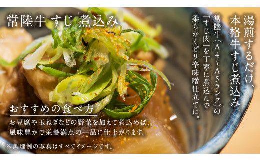 やわらか 常陸牛 すじ煮込み と すじカレー セット 各2パック 【茨城県共通返礼品】　カレー 牛すじ 煮込み お肉 牛肉 簡単 冷凍 レトルト