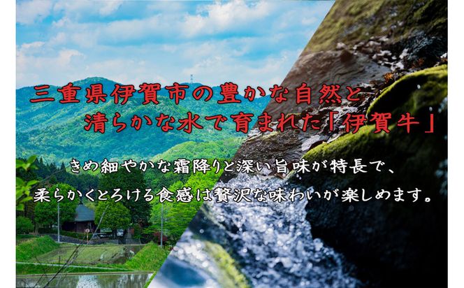 伊賀牛 牛すじ約1.2g(約300gx4パック) 242161_AZ071