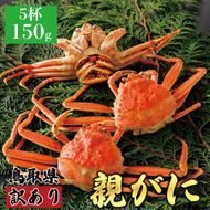 1068.【2025年12月発送】鳥取県産 特撰 親がに 姿【セコガニ】（茹）【訳あり】150g 5杯 313726_BS076