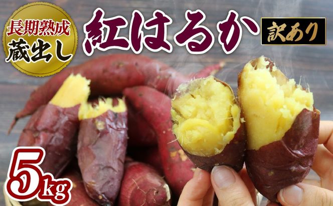 【 先行予約 : 2024年12月～順次発送 】 訳あり さつまいも 5kg 紅はるか 熟成 蔵出し 芋 いも 野菜 焼き芋 おいも 食品 食べ物 国産 静岡 藤枝 [PT0183-000004]