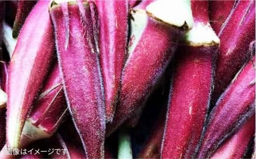 【 栽培期間中農薬 ・ 化学肥料 不使用 】こだわり 高級希少野菜 セット《糸島》【オーガニックナガミツファーム】	[AGE014]