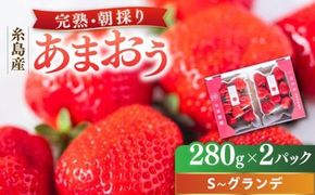 【先行受付】農家直送！ 糸島産 完熟あまおう 280g×2パック (S-Gサイズ) 【2027年1月以降順次発送】糸島市 / 小河農園 フルーツ 果物 いちご イチゴ 苺[AJN003]