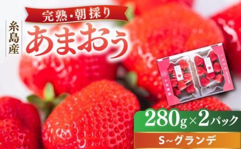【先行受付】農家直送！ 糸島産 完熟あまおう 280g×2パック (S-Gサイズ) 【2026年3月以降順次発送】糸島市 / 小河農園 フルーツ 果物 いちご イチゴ 苺[AJN003]