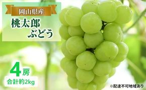 ぶどう 【2026年 早期受付】 桃太郎ぶどう 4房 合計約2kg ブドウ 葡萄 岡山県産 国産 フルーツ 果物 ギフト [№5735-2079]