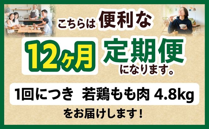 宮崎県産 若鶏切身もも肉 4.8kg（300g×16袋）【12か月定期便】