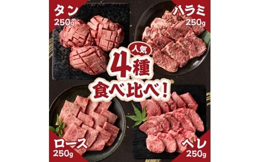 大浦和牛焼肉セット(1kg)《 牛肉 牛 国産 焼肉 セット おすすめ ロース 美味しい 牛タン ハラミ ヘレ フィレ ヒレ ヒレ肉 食べ比べ バーベキュー 》【2405A00206】