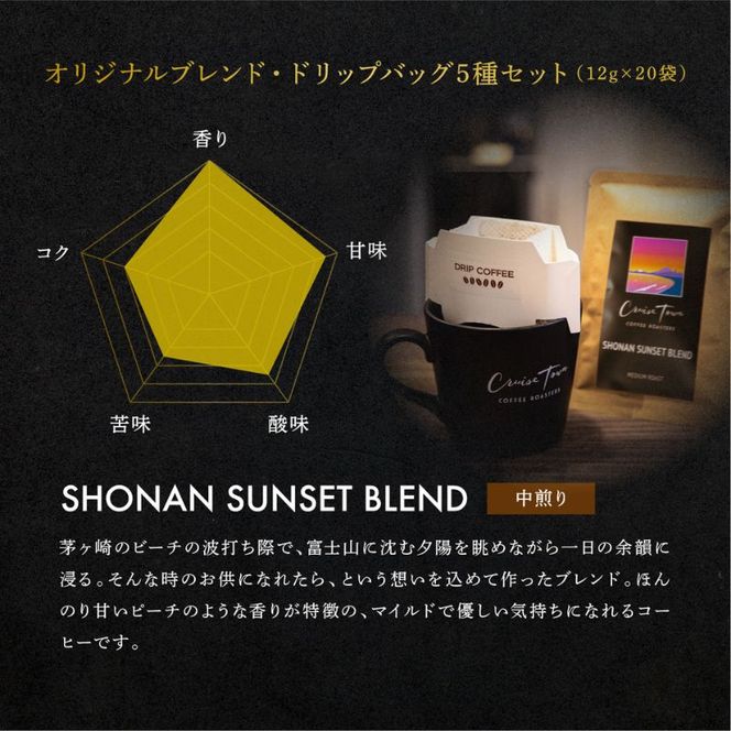 定期便 隔月 4回【CRUISE TOWN COFFEE ROASTERS】オリジナルブレンド・ドリップバッグ5種セット（12g×20袋） 飲み物 飲料 ドリンク コーヒーブレイク ドリップコーヒー 手軽 