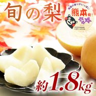 旬の梨 品種おまかせ 約1.8kg（5～8玉）【梨 なし 果物 フルーツ デザート 食後 熊本県産】※配送不可：離島