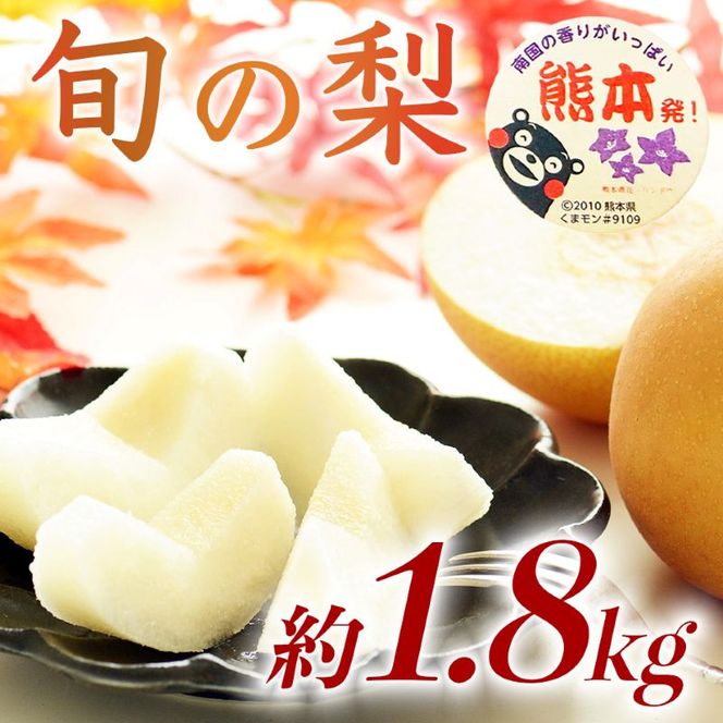 旬の梨 品種おまかせ 約1.8kg（5～8玉）【梨 なし 果物 フルーツ デザート 食後 熊本県産】※配送不可：離島