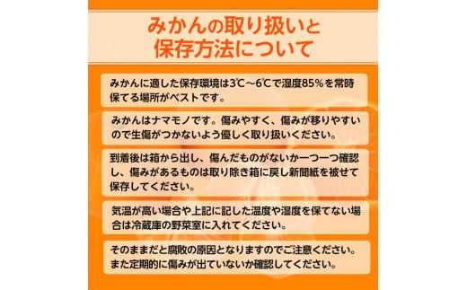 【先行予約】【ご家庭用】和歌山有田みかん約10kg(S、Mサイズ)【美浜町】