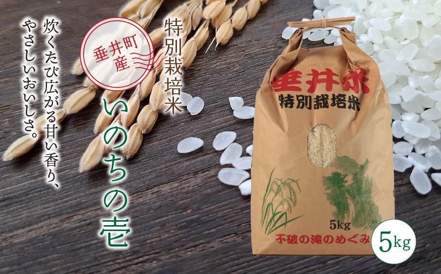 AL-4a 特別栽培米 垂井町産 いのちの壱 5kg