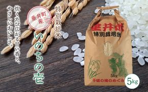 AL-4a 特別栽培米 垂井町産 いのちの壱 5kg