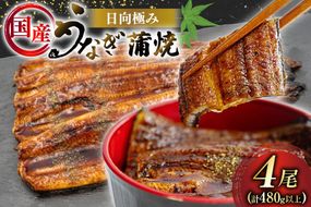 うなぎ 国産 日向極み うなぎ蒲焼 4尾 計480g以上 【たれ・山椒付き】 [日向サンパーク 宮崎県 日向市 452061501] ギフト 小分け 真空パック 鰻 ウナギ うなぎの蒲焼 蒲焼 蒲焼き
