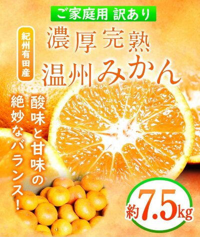 G7345_【2026年11月下旬より発送】紀州 有田産 濃厚甘熟 温州みかん 7.5kg 【家庭用 訳あり】