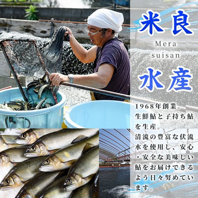 冷凍子持鮎(約1kg・10～14匹) 鮎 冷凍 子持ち鮎 小分け 国産 門川町産 宮崎県産 塩焼き あゆ 川魚 養殖 香魚 【ME-03】【米良水産】