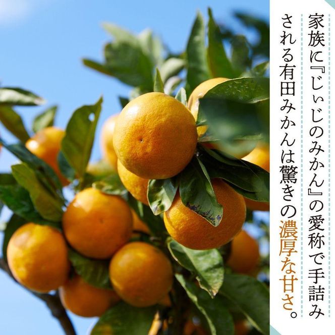 本場有田みかん じぃじのみかん10kg   EC001