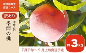 【訳あり】季節の桃 約3kg［新規就農者応援コース 幸作会］フルーツ 果物 桃 もも モモ 長野県産 信州産 令和7年産【2025年7月下旬～9月上旬発送】 ［K-24］