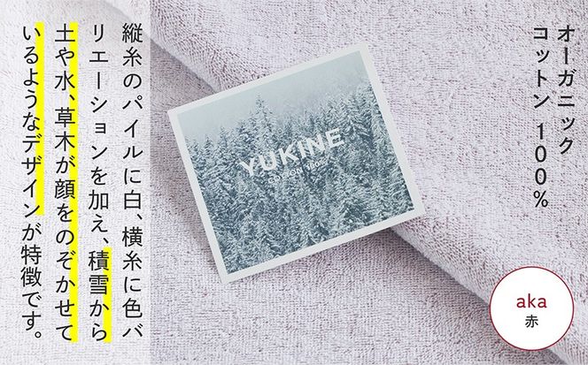 099H4000-1 SHINTO TOWEL「ユキネ・ミニバスタオル」aka（赤）2枚セット 【オーガニックコットン100% 国産 吸水 普段使い シンプル 日用品 家族 ファミリー】