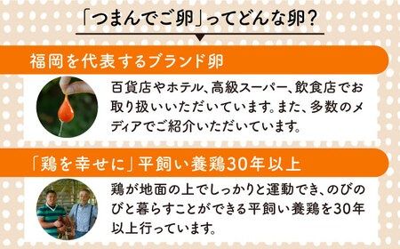 【全6回定期便】つまんでご卵 20個箱 卵 定期便（月1回） 糸島 / 緑の農園 [AGA009] ランキング 上位 人気 おすすめ