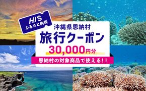 【沖縄県恩納村】HISふるさと納税旅行クーポン 30,000円分