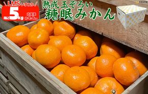 ［先行予約］熟成 みかん 箱込5kg ( 内容量 4.4kg ) SMLサイズのいずれか 秀品 優品 混合 和歌山県産 産地直送 贈答用 ［みかんの会］ 	AX379