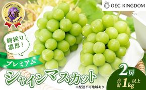 ぶどう 2026年 先行予約 プレミアム シャインマスカット 2房(1kg以上) 大粒 大房 贈答クラス ブドウ 葡萄 岡山県産 国産 フルーツ 果物 ギフト OEC KINGDOM ぶどう家 果物類