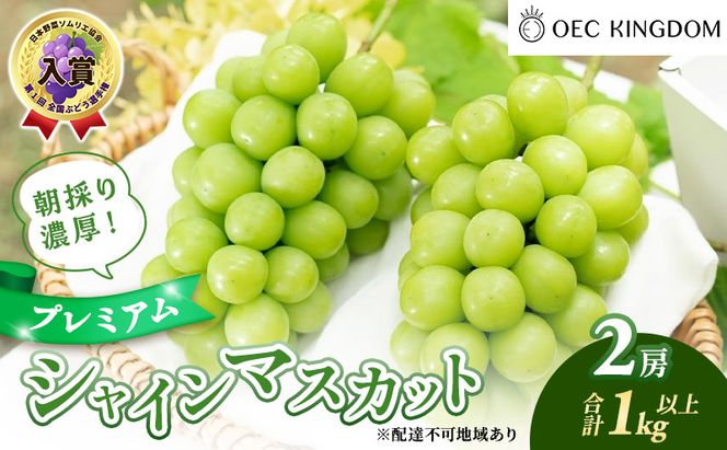 ぶどう 2026年 先行予約 プレミアム シャインマスカット 2房(1kg以上) 大粒 大房 贈答クラス ブドウ 葡萄 岡山県産 国産 フルーツ 果物 ギフト OEC KINGDOM ぶどう家 果物類