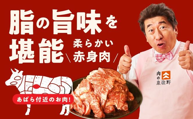 mrz0268-1 牛肉 ハラミ 900g 小分け 300g×3P【氷温熟成×特製ダレ 味付き 牛肉 訳あり 不揃い 焼肉 BBQ 野菜炒め 圧倒的企業努力】