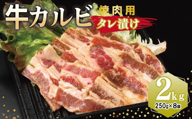 y{򍲖szG3396 Jr ēp ^Ђ v2kgyt  Ă ȒP BBQ  250g×8܁z