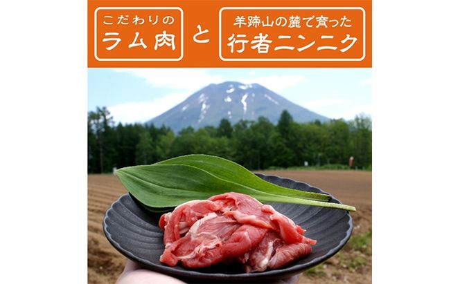 電子レンジで簡単調理「羊蹄行者ジンギスカン」6パック 羊肉 ラム肉 野菜 じゃがいも 惣菜 冷凍 