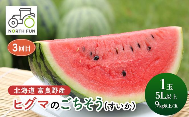【2026年夏から全3回】北海道富良野市の新鮮で甘い！！とうもろこし・メロン・スイカを味わい尽くす！NORTH FUN が贈る感動定期便